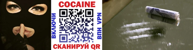 Купить закладки  Сальск  COCAIN Fish Scale 