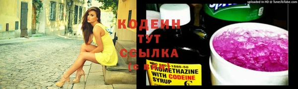 стафф Дмитриев