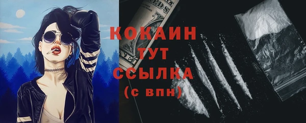 прущий лед Дмитров
