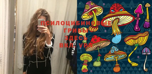 прущий лед Дмитров