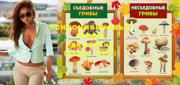 прущий лед Дмитров