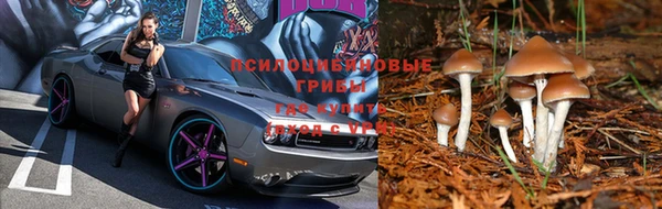 прущий лед Дмитровск